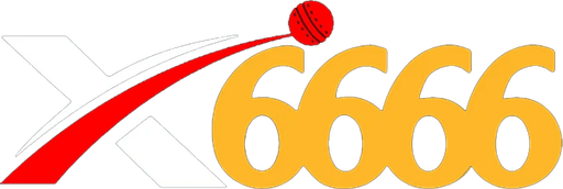 bdx6666.com Logo
